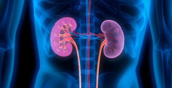 Nephrology
