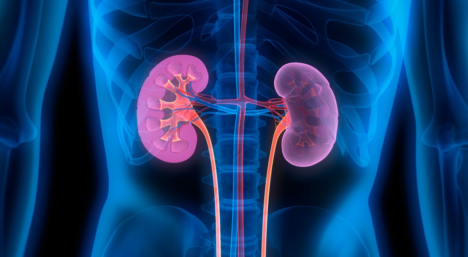 Nephrology